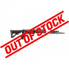 ArchAngel Conversion Rifle Stock for Ruger® 10/22 - Black